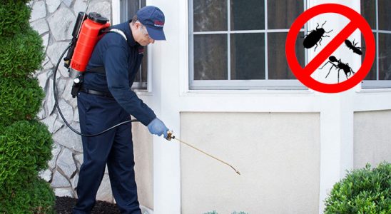 Terme Kene İlaçlama böcek ilaçlama ve haşere kontrolü — ilaclama-tr.com